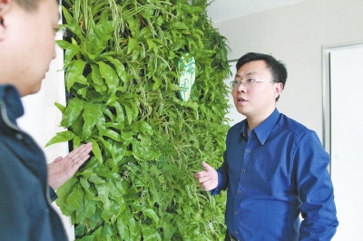 河南小伙创业种草 仅用4年在新三板挂牌