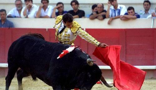 盘点全球即将灭绝的七种美食