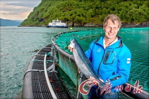 日本人不吃三文鱼刺身？到底能不能生吃