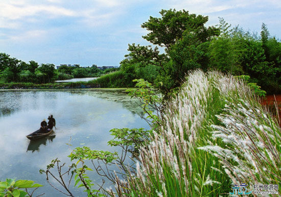 吃遍全中国 暑期美食之旅目的地