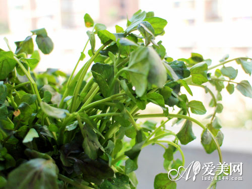 9种蔬果的饮食注意事项