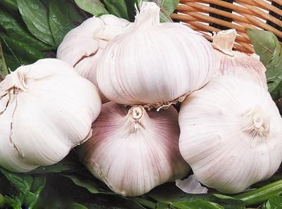 你知道这些最不起眼的长寿食材吗？