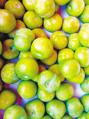 夏季水果新面孔层出不穷 网友提供试吃报告