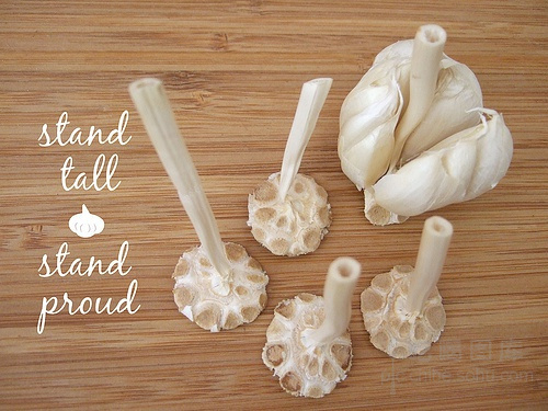 重口味还是小清新？你从未见过的大蒜另一面