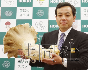 吃激素长大的吗？日本巨型杏鲍菇创世界纪录