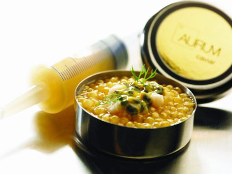 迅速崛起的美食界新贵：分子料理 标榜时髦的象征