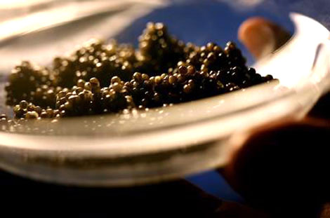 迅速崛起的美食界新贵：分子料理 标榜时髦的象征