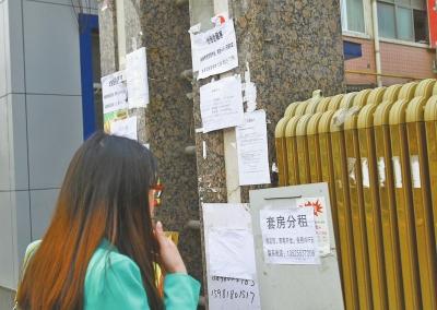 郑州房租涨一二百 城中村拆迁毕业生租房是主因