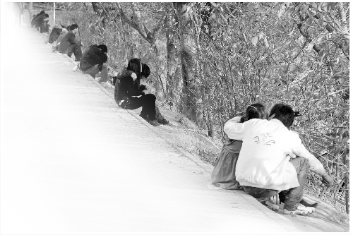 河南农大婚姻恋爱课受捧 306个名额2000人争抢 