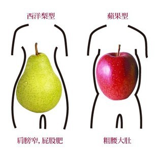 腹型肥胖比全身肥胖危害更大