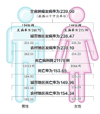 全省肿瘤发病率为239.00(数据以十万为单位)