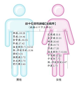 前十位恶性肿瘤(发病率)
