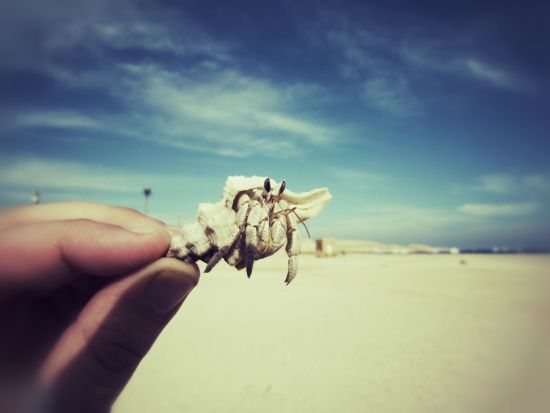 专家教你发现癌症早期信号