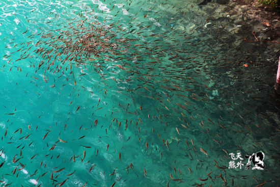 郑州直飞九寨沟6月20日盛大起航