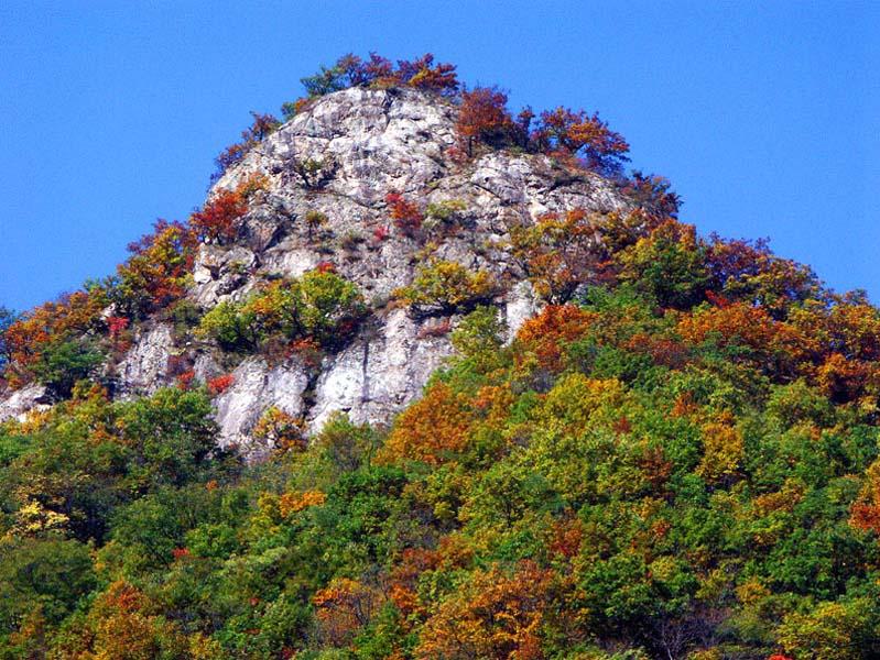 梦中桃花源,人间养子沟