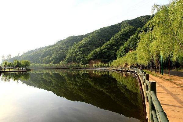 “避暑季”栾川景区精彩活动强势来袭