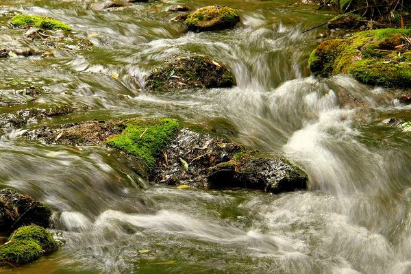 感悟攻略“微游记” 全景栾川送大礼