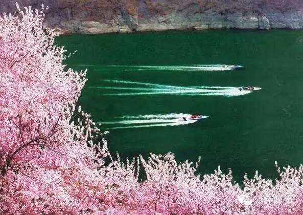 河南竟藏16个不为人知的世外桃源！看看它们有多美