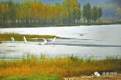 河南竟藏16个不为人知的世外桃源！看看它们有多美