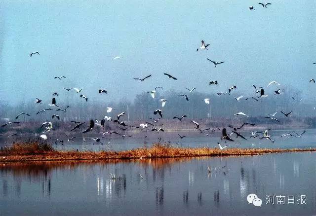 河南竟藏16个不为人知的世外桃源！看看它们有多美