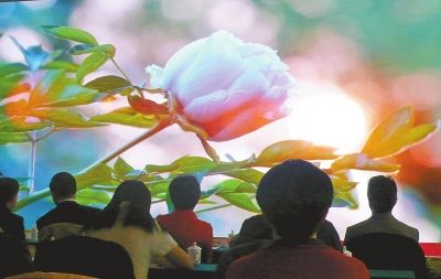 《牡丹》首映式现场播放纪录片的精彩片段