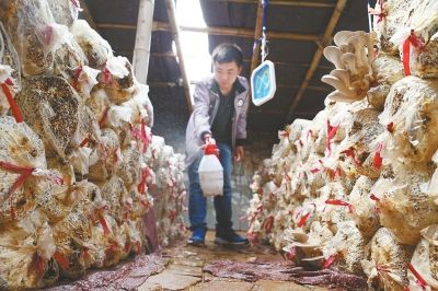 一名同学正往棚里喷水增加湿度