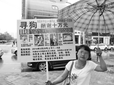 雨中，沈女士举着寻狗启事，对“花花”的思念让她一脸愁容。