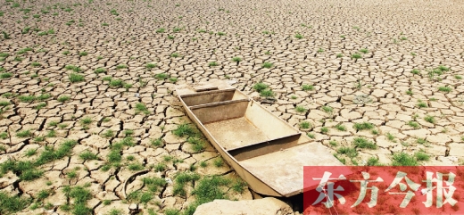 8月4日，郏县安良镇高楼村干涸的十字沟水库