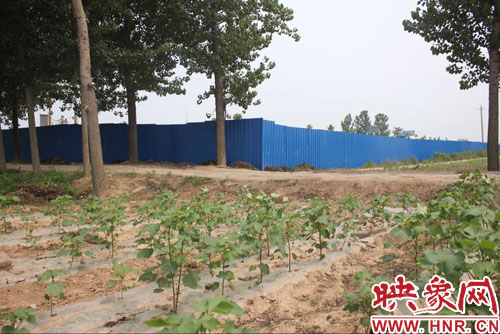 李口镇鑫鸿驾校将百余亩国家耕地改为办公楼、训练场地等驾校设施