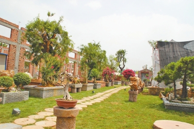 辉县市孟庄镇北田庄村支部书记王国芳，在北田庄建了一个植物园