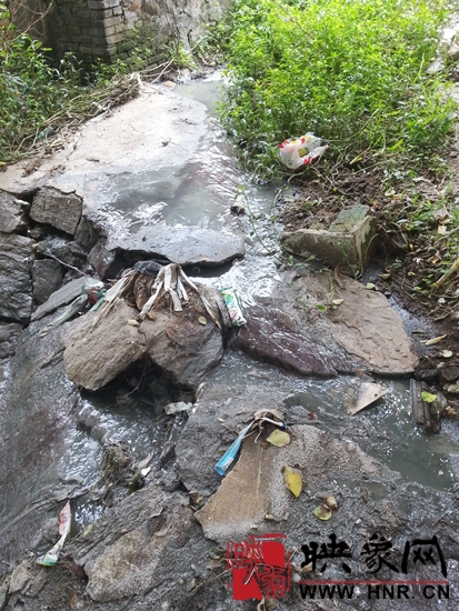 餐具消毒企业排污 信阳市区清澈界河成“黑水河”