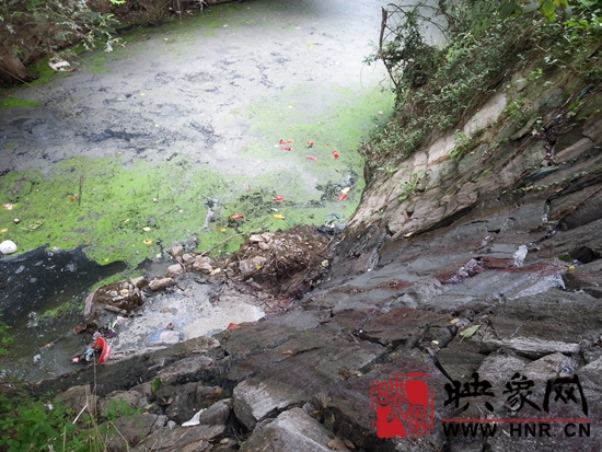 餐具消毒企业排污 信阳市区清澈界河成“黑水河”