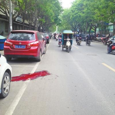 郑州一女司机抱狗开奥迪 闹市撞死骑车男子逃逸