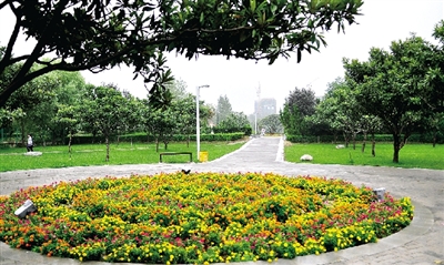 郑州年底前开放两大公园 “荷塘月色”赏心悦目