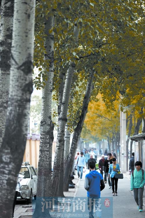 郑州文化路大修致拥堵 市民苦不堪言求理解