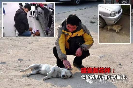 郑州人注意！最新碰瓷手法出现，可能让你损失惨重！