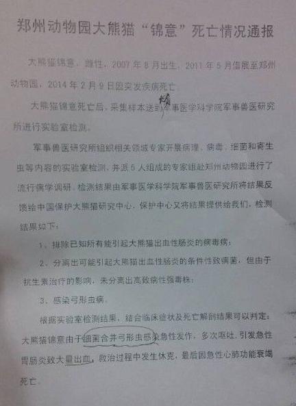 动物园：大熊猫锦意系细菌合并弓形虫感染死亡