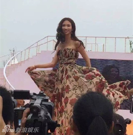 林志玲长裙飘飘性感走秀 神采飞扬女神范