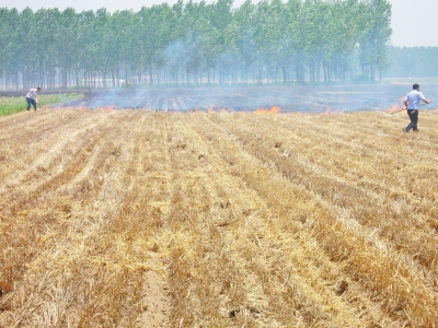 河南干群在安徽救火现场马头镇镇政府供图