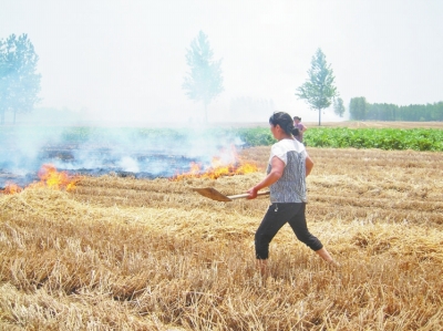附近村民灭火马头镇镇政府供图