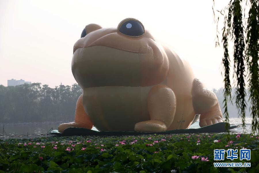 22米高“大金蟾”亮相北京玉渊潭