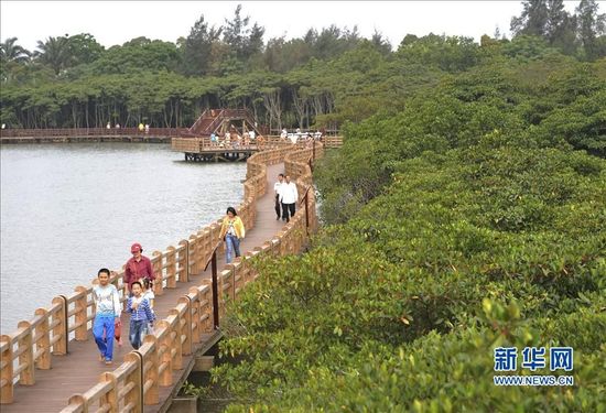 我国最大红树林景区计划“五一”前免费开放