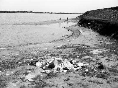 节后郑州黄河大堤垃圾随处可见 多景点成重灾区