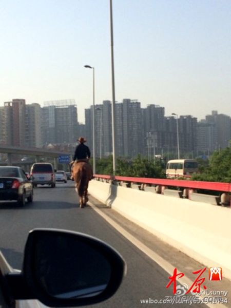 骑马男子“洒脱的身影”