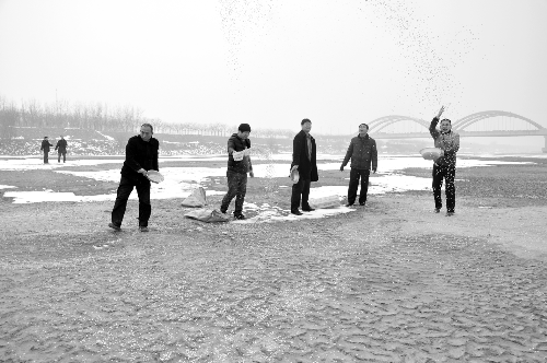 人们在黄河岸边撒玉米,供候鸟啄食 受访者供图