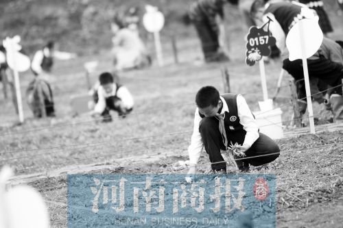 学生们在分给自己的田地里认真种下蔬菜　　河南商报记者 唐韬/摄