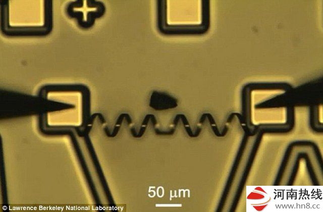 科学家研制机械肌肉 可举50倍自身重量的物体