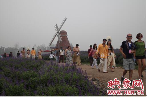河洛文化节 洛阳薰衣草庄园展示异域风情