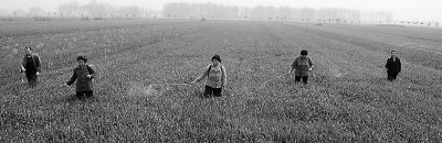 　4月7日，息县东岳镇乌庙村村民正在对小麦进行病虫害防治。该县积极整合各项惠农资金，大力实施高标准良田建设，目前已建成高标准良田28.8万亩。　徐维摄