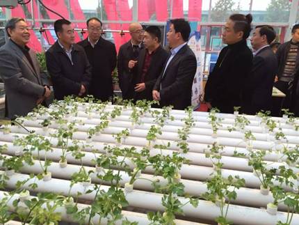 郑州市工商联副主席，郑州市花卉协会会长陈新有向杨福平副市长介绍新农艺技术（2-2）